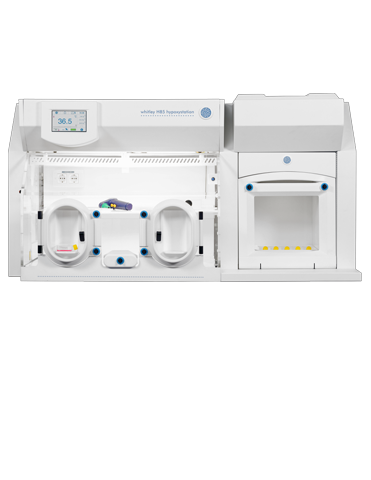 Whitley H85 Hypoxystation